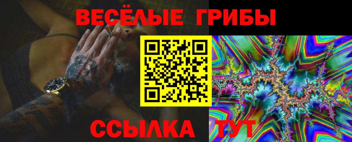 Нягань  Псилоцибиновые грибы MAGIC MUSHROOMS  Вход с VPN 